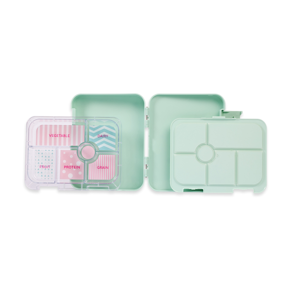 PENNY SCALLAN Bento Box 6 Bölmeli Beslenme Kutusu / Kipping Koala